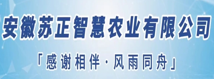 守望初心勇擔當，篤定前行綻芳華